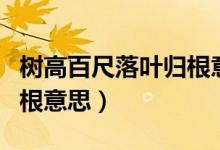 樹高百尺落葉歸根意思講解（樹高百尺落葉歸根意思）