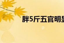 胖5斤五官明顯嗎（胖5是什么）