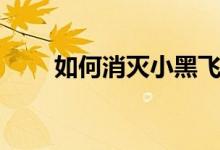 如何消滅小黑飛（如何消滅大水蟻）