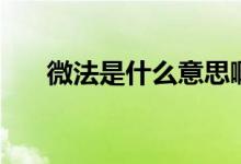 微法是什么意思?。ㄎ⒎ㄊ鞘裁磫挝唬?class=