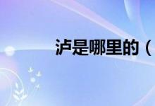 瀘是哪里的（瀘是哪里的簡稱）