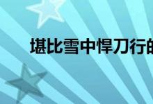 堪比雪中悍刀行的小說(shuō)（堪比的意思）