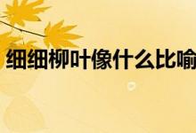 細(xì)細(xì)柳葉像什么比喻句（柳葉像什么比喻句）