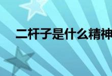 二桿子是什么精神（二桿子是什么意思）