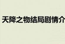 天降之物結(jié)局劇情介紹（天降之物結(jié)局是啥）