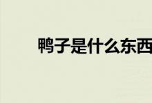 鴨子是什么東西（鴨子是什么意思）