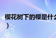 櫻花樹(shù)下的櫻是什么意思（櫻樹(shù)花是什么意思）