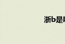 浙b是哪里的車牌