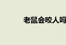 老鼠會(huì)咬人嗎（老鼠會(huì)咬人嗎）