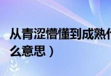 從青澀懵懂到成熟什么意思（從青澀到年華什么意思）