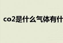 co2是什么氣體有什么用（co2是什么氣體）