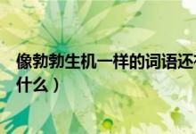 像勃勃生機(jī)一樣的詞語(yǔ)還有哪些（像勃勃生機(jī)一樣的詞語(yǔ)有什么）