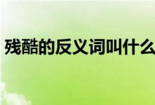 殘酷的反義詞叫什么(殘酷的反義詞是什么)