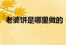 老婆餅是哪里做的（老婆餅是哪里的小吃）