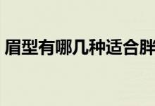眉型有哪幾種適合胖臉（眉型有哪幾種圖片）