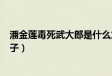 潘金蓮毒死武大郎是什么意思（潘金蓮毒死武大郎是什么日子）