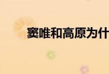 竇唯和高原為什么離婚（什么原因）