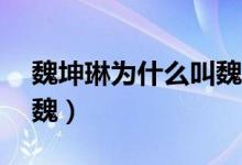 魏坤琳為什么叫魏叨叨(魏坤琳為什么叫Dr魏)