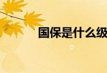 國(guó)保是什么級(jí)別（國(guó)保是什么）