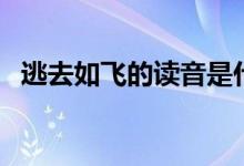 逃去如飛的讀音是什么（逃去如飛的意思）