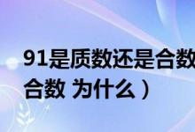 91是質(zhì)數(shù)還是合數(shù)說(shuō)明理由（91是質(zhì)數(shù)還是合數(shù) 為什么）