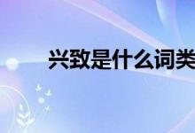 興致是什么詞類(興致是什么意思)