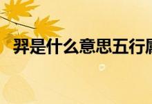 羿是什么意思五行屬什么（羿是什么意思）