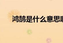 鴻鵠是什么意思啊（鴻鵠是什么意思）