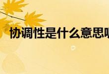 協(xié)調(diào)性是什么意思呢（協(xié)調(diào)性是什么意思）