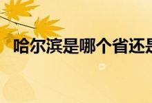 哈爾濱是哪個省還是市（哈爾濱是哪個?。?class=
