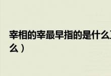 宰相的宰最早指的是什么正確答案（宰相的宰最早指的是什么）