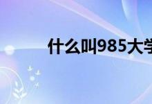 什么叫985大學(什么叫夜生活)