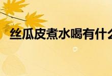 絲瓜皮煮水喝有什么功效（絲瓜皮能吃嗎）