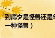 到底夕是怪獸還是年是怪獸（年和夕是不是同一種怪獸）