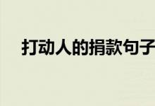 打動人的捐款句子（打動人的捐款句子）