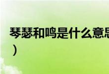 琴瑟和鳴是什么意思?。ㄇ偕网Q是什么意思）