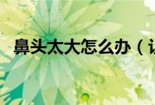 鼻頭太大怎么辦（讓鼻子變小有哪些方法）