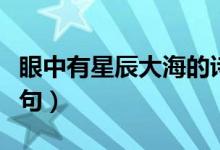 眼中有星辰大海的詩句（眼中有星辰大海下一句）