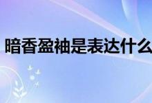 暗香盈袖是表達(dá)什么（暗香盈袖是指什么花）