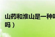 山藥和淮山是一種嗎(山藥和淮山是一種東西嗎)