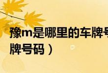 豫m是哪里的車牌號碼區(qū)號（豫m是哪里的車牌號碼）