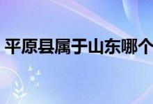 平原縣屬于山東哪個市（平原縣屬于哪個市）