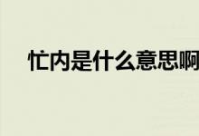 忙內(nèi)是什么意思?。?nèi)是什么意思呀）