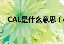 CAL是什么意思（cal是什么意思跑步機(jī)）