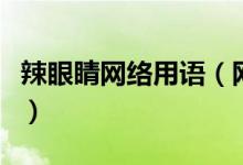 辣眼睛網(wǎng)絡(luò)用語（網(wǎng)絡(luò)詞語辣眼睛是什么意思）