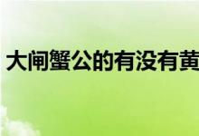大閘蟹公的有沒有黃（大閘蟹公的有蟹黃嗎）