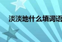 淡淡地什么填詞語（淡淡地什么填詞語）