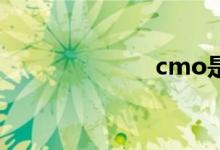 cmo是什么職位