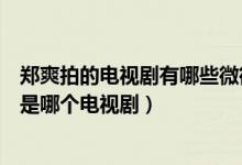 鄭爽拍的電視劇有哪些微微一笑很傾城（鄭爽演的蘆葦微微是哪個電視?。?class=