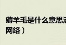 薅羊毛是什么意思流行語（薅羊毛是什么意思網(wǎng)絡(luò)）